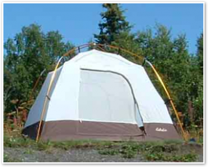 tents4